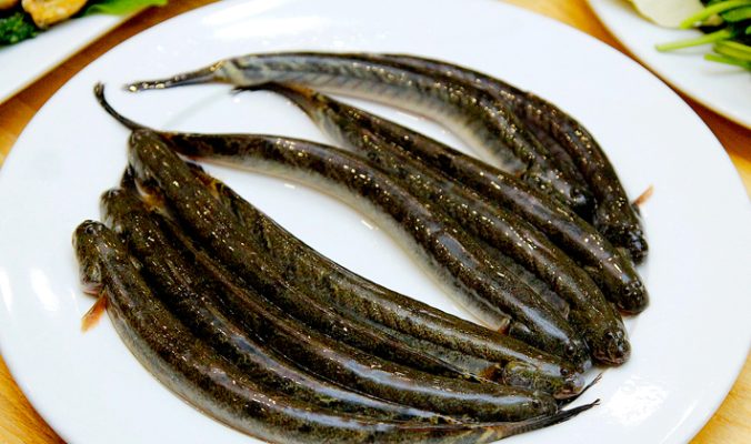 5 cách làm khô cá kèo ngon và cách chọn nguyên liệu 1